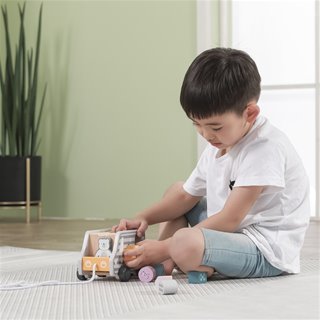 Pull-along shape sorting truck